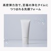 DECENCIA Foaming Wash with Sample Gift (Face Wash Foam for