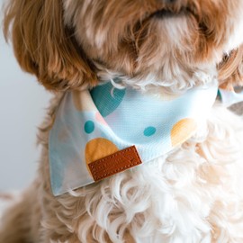 Paws Boutique Premium Dog Bandana/Scarf | Design: Joy | Reversible Dual Layered/Sided | Small, Medium & Large Pets | Unique Style | Cute Accessories for Puppies & Dogs (S)