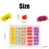 FOIMAS 60pcs Miniature Flower Cluster Colorful Flower Vegetation Groups Grass