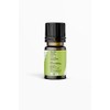 Nature's Basket Peppermint Essential Oil - 15 Ml