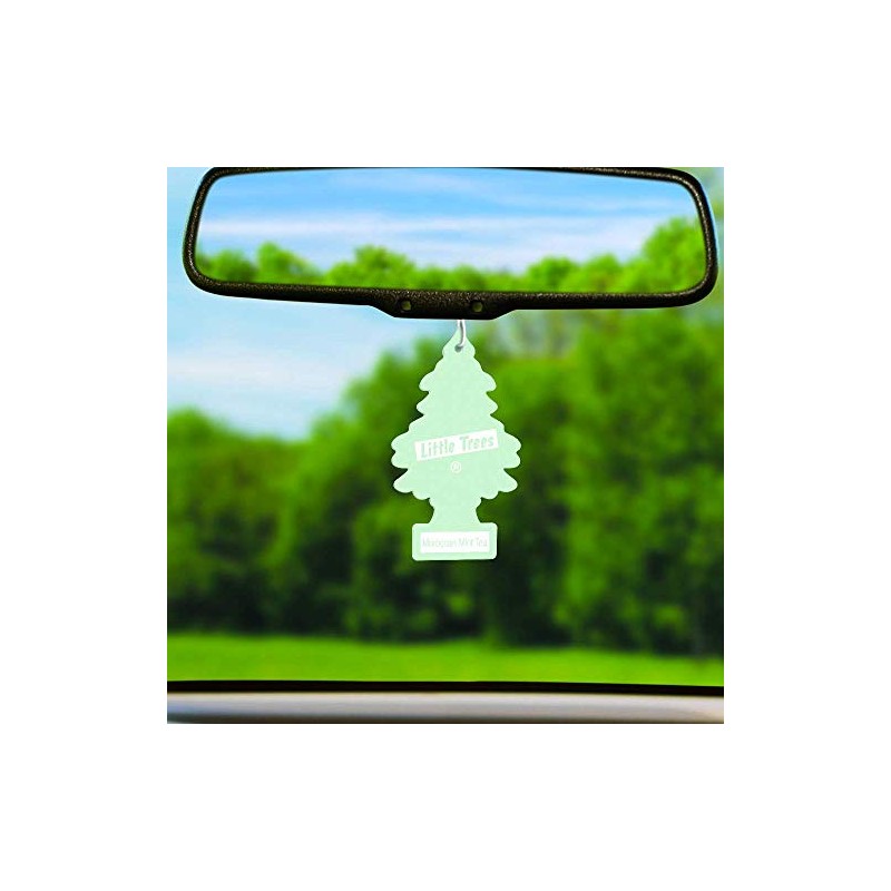 LITTLE TREES Car Air Freshener 6-Pack (Moroccan Mint Tea)