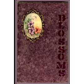 Morning Glory Blossoms