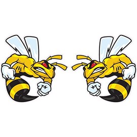 Ski-Doo Angry Bee Large Pairs Decal 12" Each
