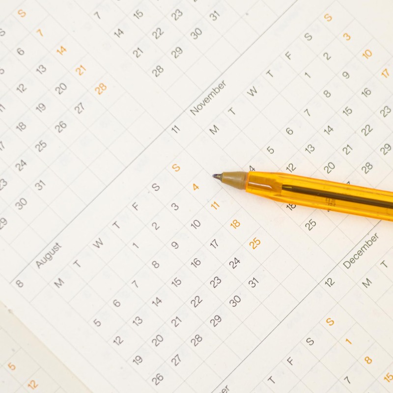 Basenotes A5 Planner, 256-Page Undated Yearly, Monthly & Daily Organizer,