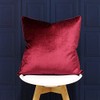 Riva Paoletti Luxe Velvet Cushion Cover - Cranberry Pink -