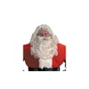 Halco Professional Santa Wig and Beard Set Costume Accessory,Red,One Size