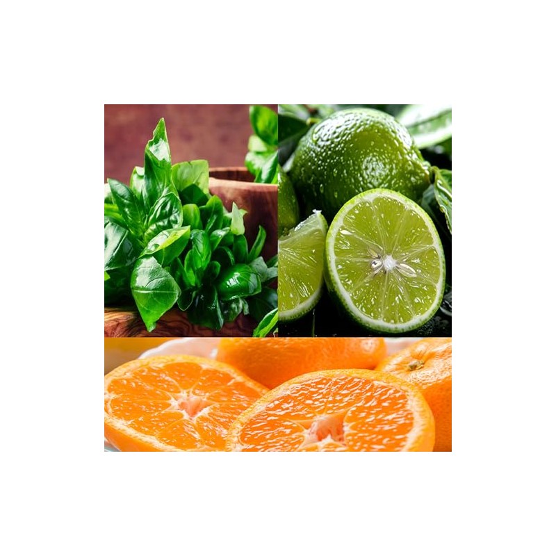 (Basil, Lime & Mandarin) 100% Soy, Highly Scented, Hand Poured