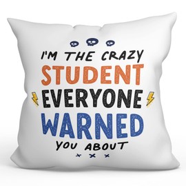 MUGFFINS STUDENT Cushion Padding included - in English - Everyone warned you about - Funny gift - Pillow: cover and filling 15.7x15.7 inches