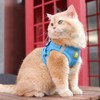 NeuWee Cat Harness and Leash with Cat Collar for Walking,
