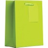 Jillson Roberts Small Gift Bags, Matte Lime (12 Pcs)