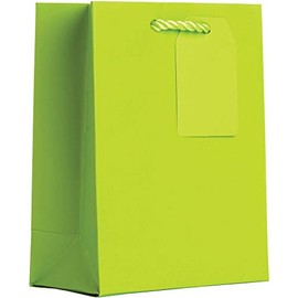 Jillson Roberts Small Gift Bags, Matte Lime (12 Pcs)