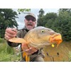 searigs Carp Hut Pop-Up Sweetcorn Bait, 12mm x 8mm, Yellow,
