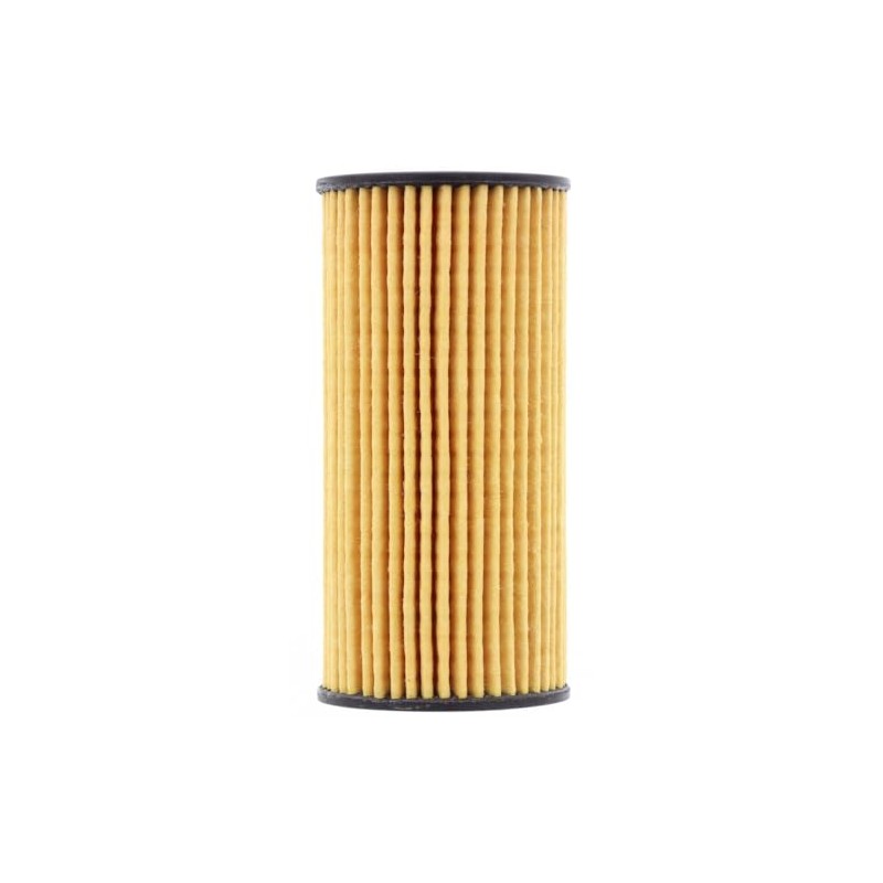 Ryco Oil Filter (R2748P)