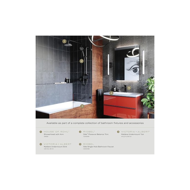 6" 2-Function Showerhead With ArmBLACK