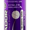 Shampoo Matizador Morado Con Biotina Sin Sal Platinado 500ml