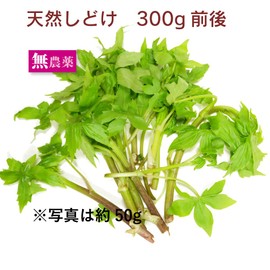 Natural Maple Leaf Wild Wild Vegetables, Around 10.6 oz (300 g), No Pesticides, Produced in Aomori Prefecture