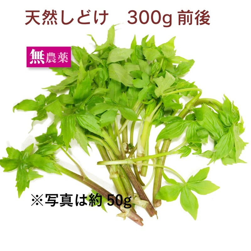 Natural Maple Leaf Wild Wild Vegetables, Around 10.6 oz (300