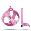 Vest Harness Curli Clasp Air Mesh Pink-Chequered 2XS & Leash