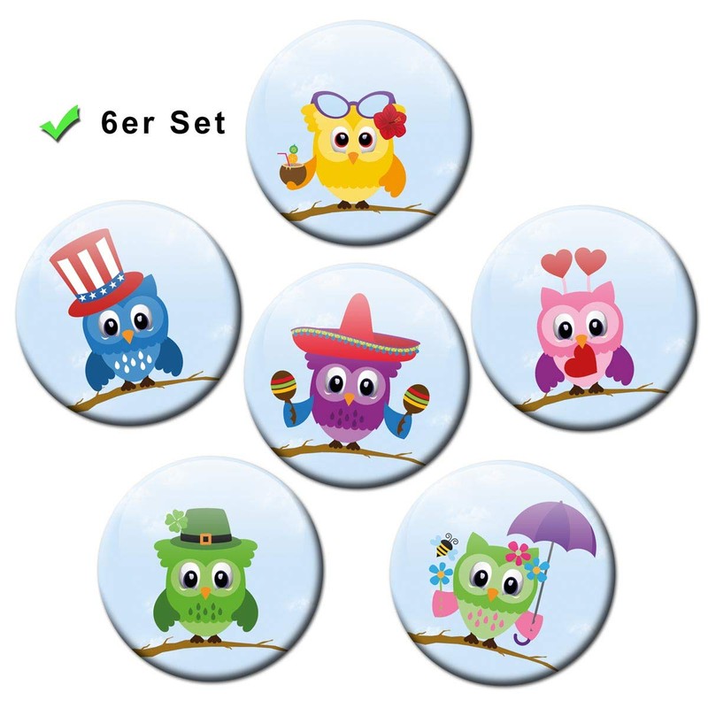 Magnets Owl Decorative Gift Set Fridge Magnets Owl Motif Animals
