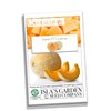 Imperial 45 Cantaloupe Seeds, 50+ Heirloom Seeds Per Packet, (Isla's