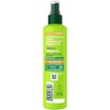 Garnier Fructis Sleek & Shine 10-in-1 for Frizzy, Dry Hair,