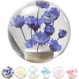 JINGLING Underwater Flower Gear Knob Flower in Bubble Water Stick AT MT Universal Transparent Ball Gear Lever Head Car Parts with 3 Types of Adapters (Purple)