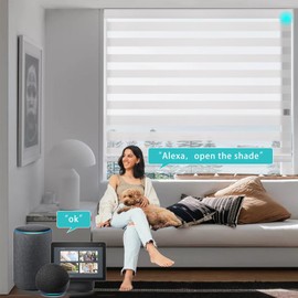 Motorized Zebra Blinds Compatible with Alexa,Smart Dual Layer Shades with Privacy Light Control, Electric Horizontal Wireless Electric Shades for Windows Customized Size for Home Office,White