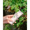 Yuanjae Centella Centella Asiatica Moisture Cream 95g Big Leaf Giant
