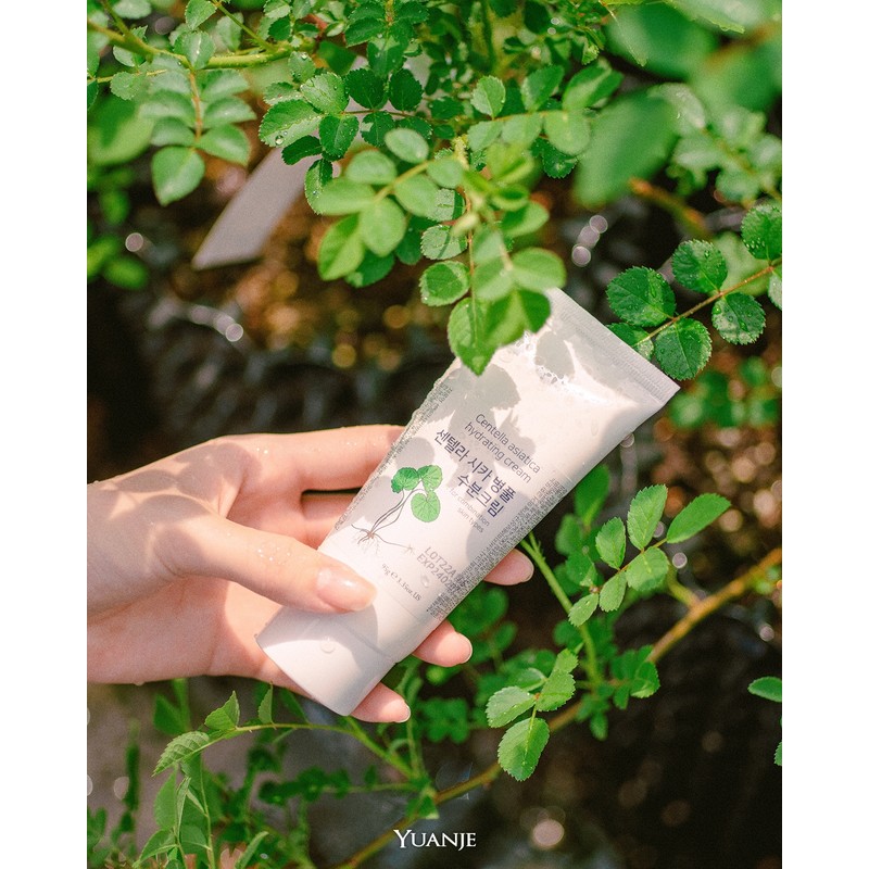 Yuanjae Centella Centella Asiatica Moisture Cream 95g Big Leaf Giant