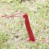 MSR Cyclone 10" Tent Stake, 4 Pack, Red
