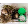 Premium Land Snail Substrate - The Perfect Bedding for Your