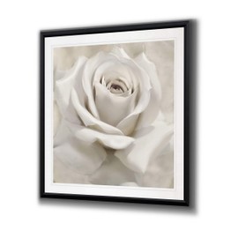 Renditions Gallery PF021-40172-26X26BF Dreamy I White Rose Flower Art Framed Abstract Artwork Landscape Painting Giclee Canvas Prints Home Wall Decor, 26x26, Black