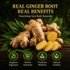 WOTIHA 150 Premium Ginger Tea Bags, 100% Pure Ginger Root,