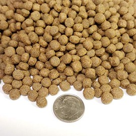 Aquatic Foods Inc. 42% Protein 6mm - 3/16" Floating Anchovy Meal Pellets for Koi Fish and All Pond Fish with Natural Color Enhancing Krill - 40-lbs