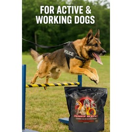 Power Boost Canine Performance Formula – Low Fat, High-Carb Rehydration & Recovery Supplement for Working & Sporting Dogs – Supports Endurance, Muscle Recovery & Cooling