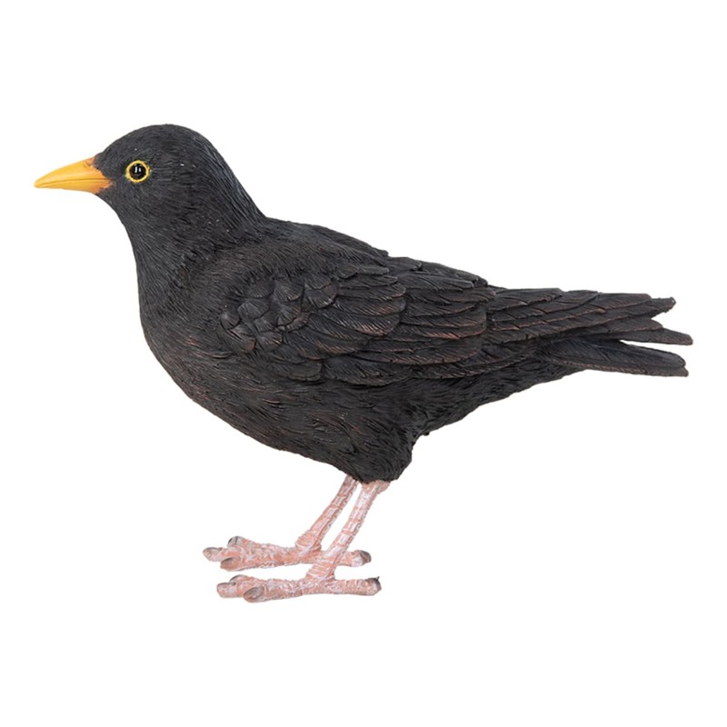 Pflanzen Kölle Iron Blackbird, Black, Approx. 17 x 6 x