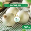 Snowball Winter Bulbs (500 g) - Winter Bulbs Hardy -