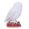 Nemesis Now Wizard's Familiar Owl Figurine, White, 10cm