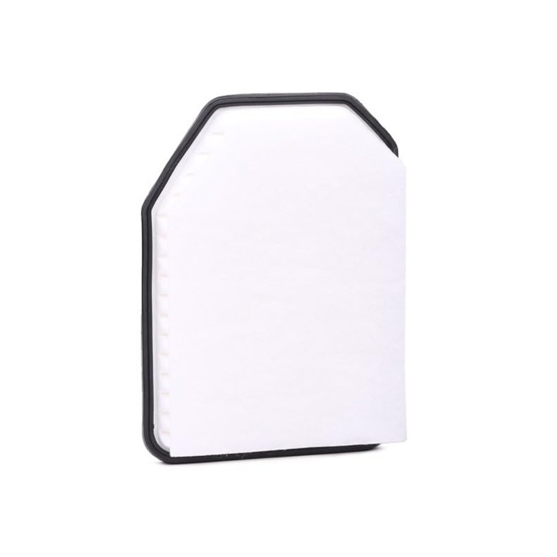 RIDEX 8A0455 Motor Air Filter Recirculation Filter, Filter Insert with