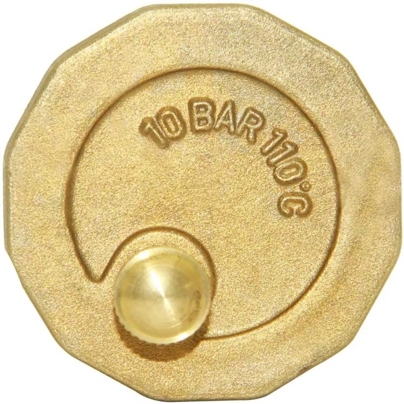 sashow 10500-VE Automatic Float Valve 3/4" Male Thread Air Release