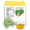 Soilmount 100% Natural Leaf of Arborvitae,Thuja Leaf Wild Harvested,(Green leaf