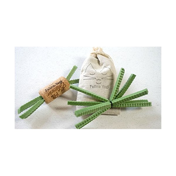 Feline Yogi Yoga Props Cat Toy Set (Green) Includes Starfish,