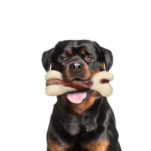 Tikaton Dog Chew Toys for Aggressive Chewers, Beef Flavor Durable Teething Bones for Large/Medium/Small Puppies