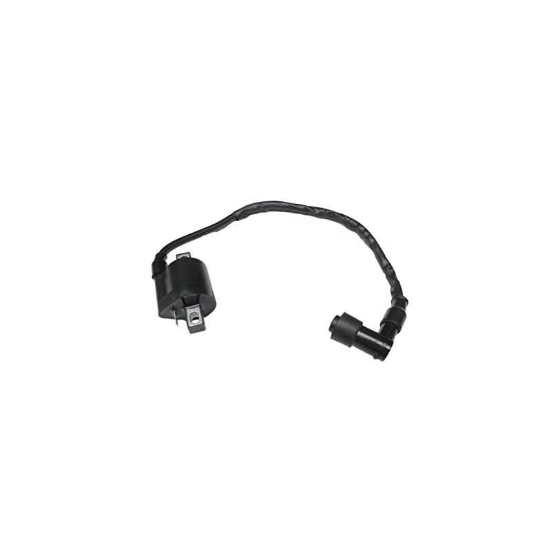 Ignition Coil Compatible with Yamaha ATV Big Bear 350 YFM350