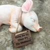 Paxton Pig Resin Garden Ornament"Wake Me Up When It Is