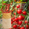 Orchard Picking Bag Canvas Leather Waist Hanging Fruit Harvest Bag