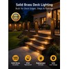 Gardenreet Solid Brass Deck Light, 12V, Bronze, Bulb Not Included,
