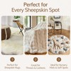 WaySoft Sheepskin Rug Brush with Premium Natural Beech Wood Handle,