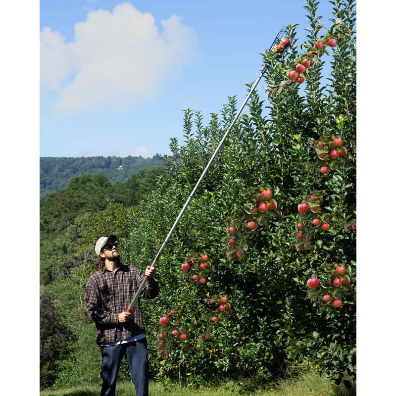 In Reach Pole and Fruit Picker