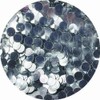 Beauty Nail Powder Eriko Kurosaki Jewelry Collection Silver Round 2mm